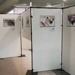 Bild: 10b6aa53-116a-48ca-b430-4f0837734d8b