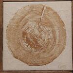 Bild: 14 Colle - trentasei anni di pittura 44x44