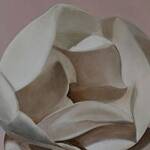 Bild: 2 Colle - magnolia su sfondo rosa antico 50x60