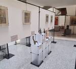 Bild: 20230313_104941