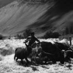 Bild: 4031 Giuseppe Ripa Nei pressi di Alchi - india 1998