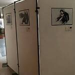 Bild: 52c7de33-4495-4108-b9b2-57d7f1103919