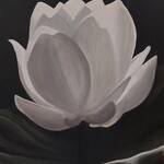 Bild: 6 Colle - fior di loto 50x60