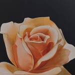 Bild: 9 Colle - rosa arancione 40x50