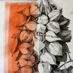 Bild: ALESSANDRA IANES