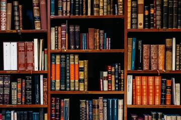 Bibliothek für Autonomien und Sprachminderheiten