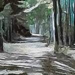 Bild: Bruno Capossela - Passeggiata tra i boschi,Vigolana TN, acrilico mis 24x15 