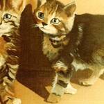 Bild: Caliari Giulio - mici