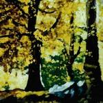 Bild: Caliari Giulio - nel bosco