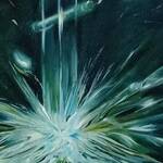 Bild: CARLA NICOLOSI