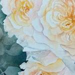 Bild: Chiara Consolati - lento svelarsi di petali d oro