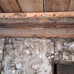 Bild: Ciasa Costazza (3)