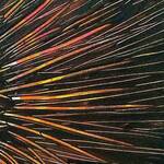 Bild: El Bicer Mohamed 10