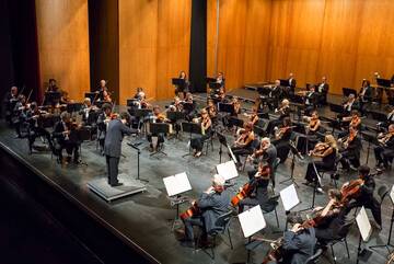 DIE REGION INVESTIERT IN DIE KULTUR: FINANZIERUNG FÜR DIE HAYDN-STIFTUNG WURDE GENEHMIGT