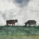 Bild: Fulvia Marzadro - pascolo all imbrunire
