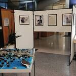 Bild: IMG_20260122_074537