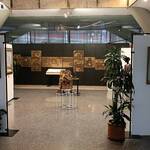 Bild: IMG_20260220_075031
