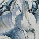 Bild: Patrizia Macor - liberta