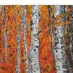 Bild: Betulle d'autunno