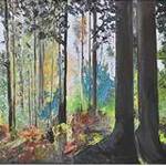 Bild: Bosco all'alba