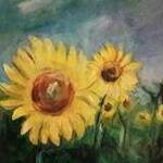 Bild: Girasoli - 2017