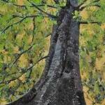 Bild: Sotto il faggio