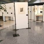 Bild: scorcio della mostra 7